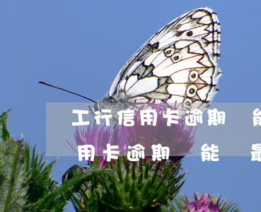 工行信用卡逾期還能還最低還款嗎-工行信用卡逾期還能還最低還款嗎知乎