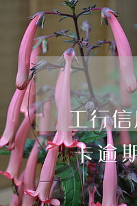 工行信用卡逾期都不給減免嗎貼吧（工行信用卡逾期都不給減免嗎）