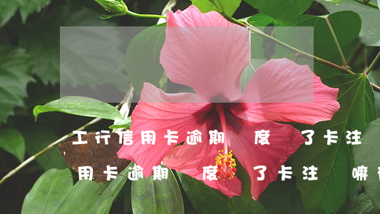工行信用卡逾期額度沒了卡注銷嘛-工行信用卡逾期額度沒了卡注銷嘛有影響嗎