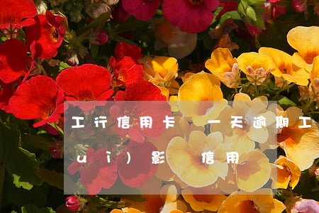 工行信用卡遲一天逾期(工行遲還一天會(huì)影響信用嗎)