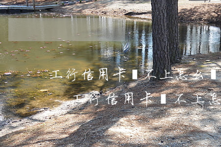 工行信用卡還不上怎么協(xié)商分期-工行信用卡還不上怎么協(xié)商分期還款
