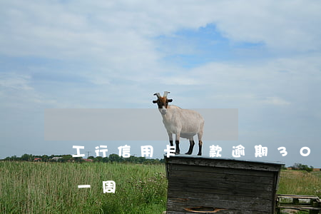 工行信用卡還款逾期30分鐘(工行貸款逾期一周)