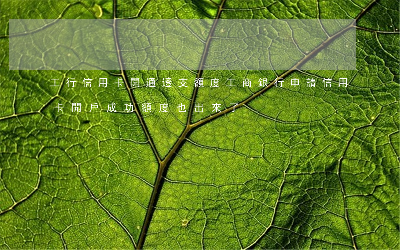 工行信用卡開通透支額度(工商銀行申請信用卡開戶成功額度也出來了)