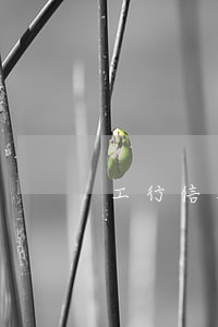 工行信用貸逾期起訴（工行信用貸逾期起訴）