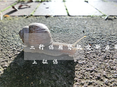 工行信用贷款逾期后果(工行贷款逾期几天才上征信?)
