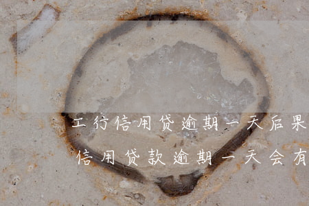 工行信用贷逾期一天后果是什么-工商银行信用贷款逾期一天会有不良记录吗