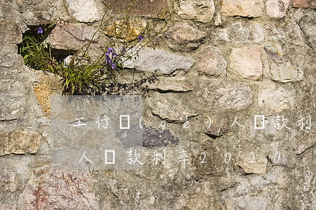 工行個(gè)人貸款利率(工行個(gè)人貸款利率2020)
