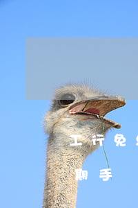 工行免息分期手續(xù)費-工行免息分期手續(xù)費
