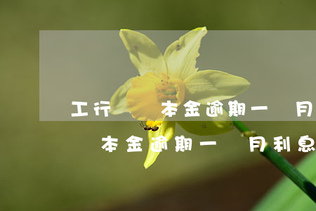 工行兩萬本金逾期一個月利息多少-工行兩萬本金逾期一個月利息多少錢