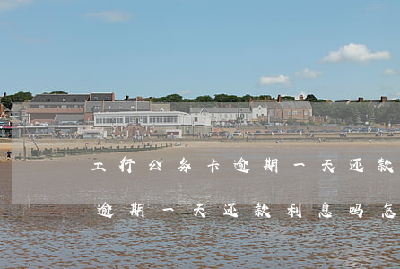 工行公务卡逾期一天还款利息吗(工行公务卡逾期一天还款利息吗怎么算)