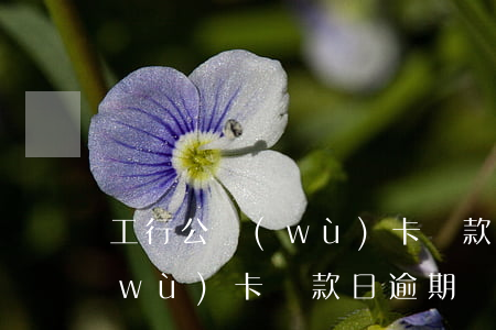 工行公務(wù)卡還款日逾期(工行公務(wù)卡還款日逾期)