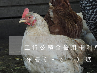 工行公積金信用卡利息(工行公積金信用卡有年費(fèi)嗎)