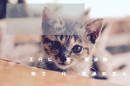 工行公積金貸款逾期沒還(住房公積金貸款逾期了銀行沒有通知怎么辦)