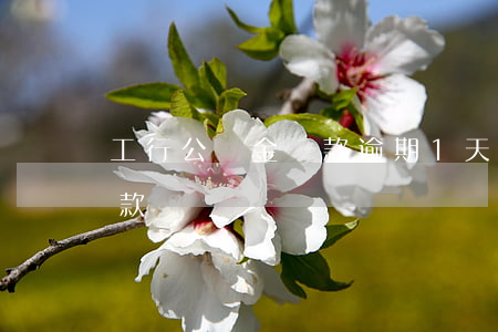 工行公積金還款逾期1天(公積金逾期一天還款)