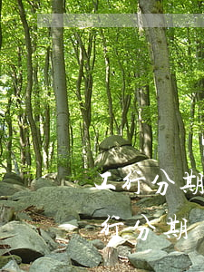 工行分期樂信用卡在柜臺如何還款-工商銀行分期樂信用卡能提現(xiàn)嗎