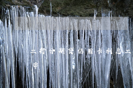 工行分期贷信用卡利息(工行分期付款利息费率)