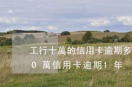 工行十萬的信用卡逾期多久會起訴你(工行10萬信用卡逾期1年)
