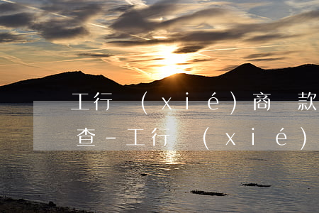工行協(xié)商還款忘記還多少在哪里查-工行協(xié)商還款成功