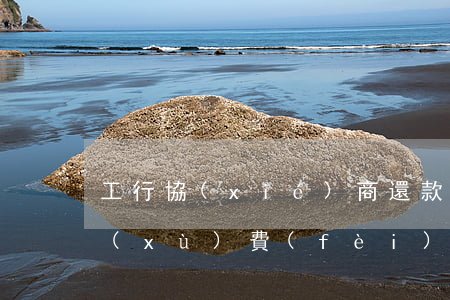 工行協(xié)商還款為什么還要收手續(xù)費(fèi)?-工商銀行有協(xié)商還款成功的么2018