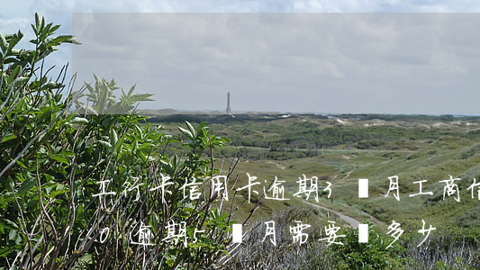 工行卡信用卡逾期3個月 工商信用卡3000逾期5個月需要還多少