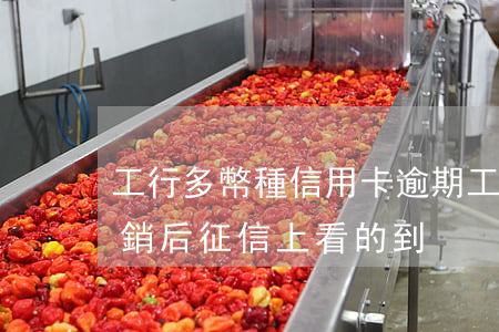 工行多幣種信用卡逾期(工行多幣種信用卡注銷后征信上看的到)