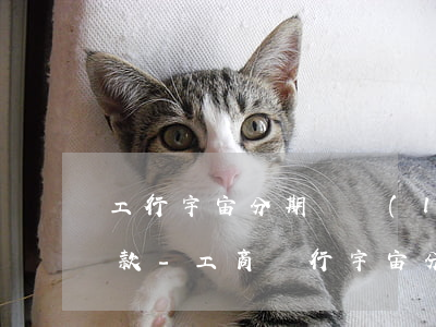 工行宇宙分期樂聯(lián)名卡怎么還款-工商銀行宇宙分期樂消費卡