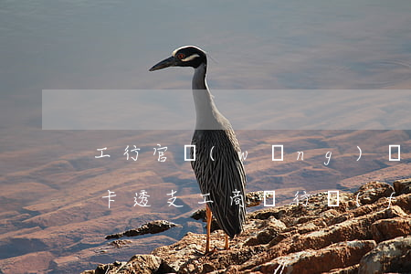工行官網(wǎng)發(fā)短信信用卡透支(工商銀行發(fā)來短信申請信用卡)