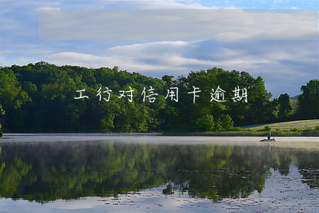 工行对信用卡逾期