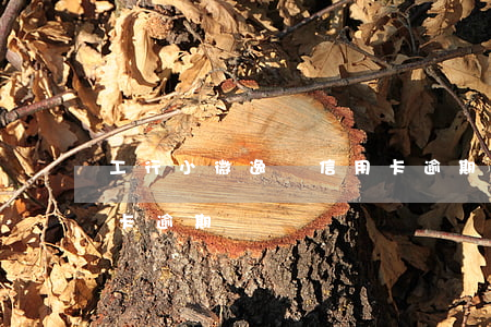 工行小微逸貸信用卡逾期(工行小微逸貸信用卡逾期)