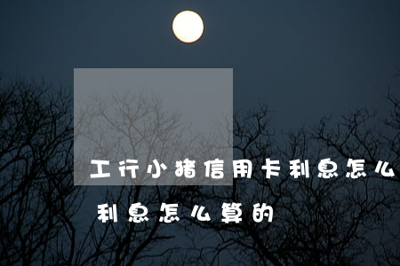 工行小猪信用卡利息怎么算 工行小猪信用卡利息怎么算的