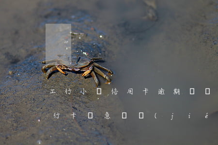 工行小額信用卡逾期凍結(jié) 工商銀行卡緊急凍結(jié)