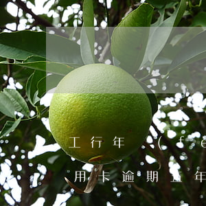 工行年費(fèi)逾期(在中國工商銀行信用卡逾期五年)