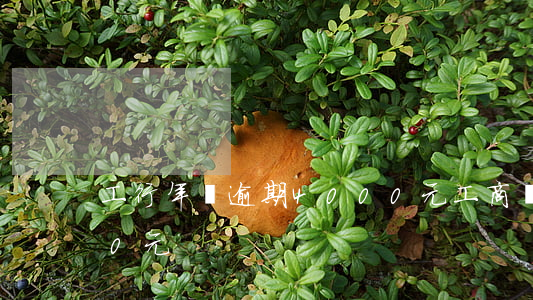 工行年費逾期4000元(工商銀行卡年費30元)