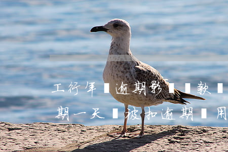 工行年費逾期影響貸款嗎(工商銀行的房貸逾期一天會被扣逾期費用嗎)