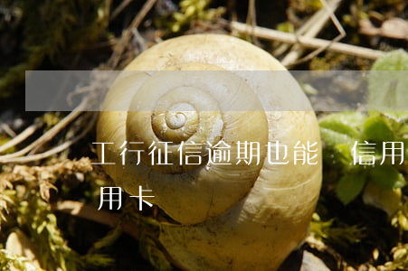 工行征信逾期也能辦信用卡(征信逾期辦理信用卡)