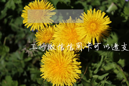 工行微信信用卡可以透支嗎