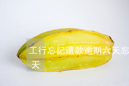 工行忘記還款逾期六天(忘記還款逾期了十幾天)