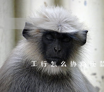 工行怎么协商还款-工行怎么协商还款方式
