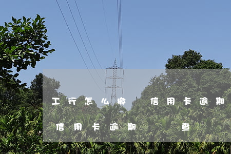工行怎么撤銷信用卡逾期記錄(工行怎么撤銷信用卡逾期記錄查詢)