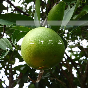 工行怎么查詢貸款逾期(工行貸款還款怎么查)