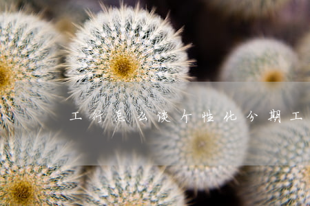 工行怎么谈个性化分期(工行个性化卡怎么办)