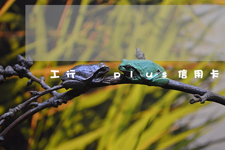 工行愛車plus信用卡逾期一天