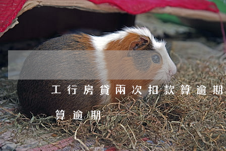 工行房貸兩次扣款算逾期(工行房貸兩次扣款算逾期)
