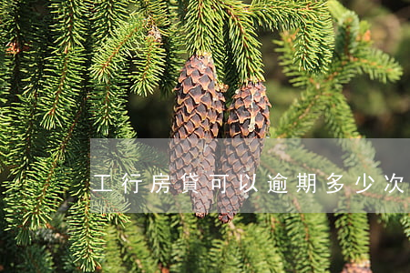 工行房貸可以逾期多少次
