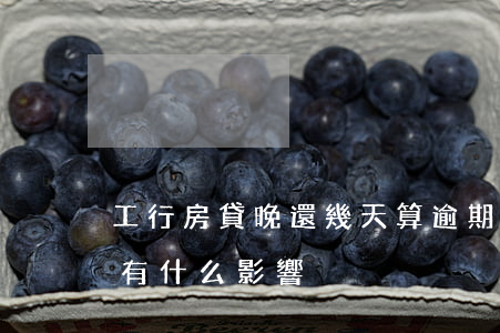 工行房貸晚還幾天算逾期(工行房貸晚還兩天有什么影響)