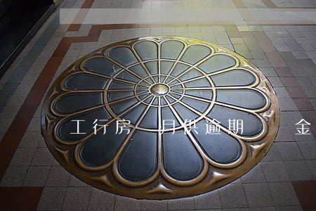 工行房貸月供逾期滯納金(銀行逾期滯納金)