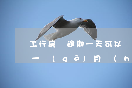 工行房貸逾期一天可以嗎(工商銀行房貸逾期一個(gè)月會(huì)有什么后果)