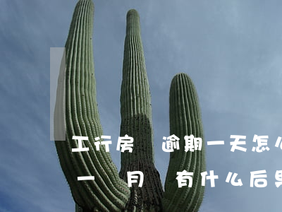 工行房貸逾期一天怎么辦(工商銀行房貸逾期一個月會有什么后果)