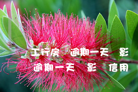 工行房貸逾期一天會影響信用卡(銀行房貸款逾期一天會影響信用嗎)