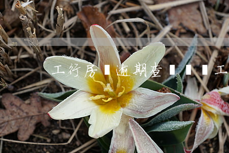 工行房貸逾期查詢電話（工行房貸逾期查詢）